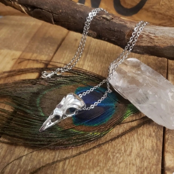 Pagan Raven Skull Necklace & Earrings Jewelry Set Horror Witchy Viking Jewelry - Picture 11 of 16